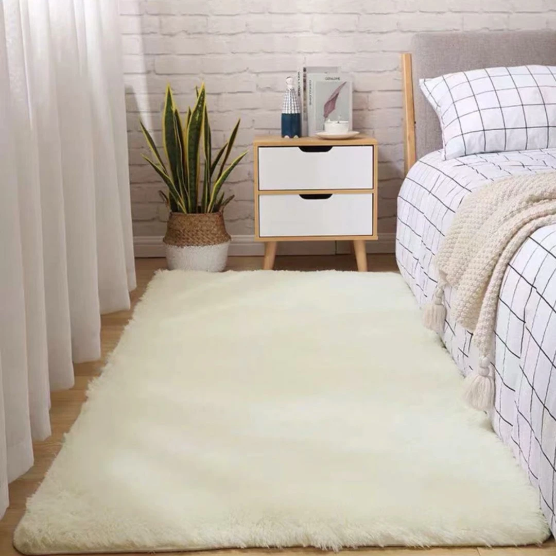 地毯卧室客厅床边毯2024新款高级感毛毯地垫少女房间茶几长绒加厚