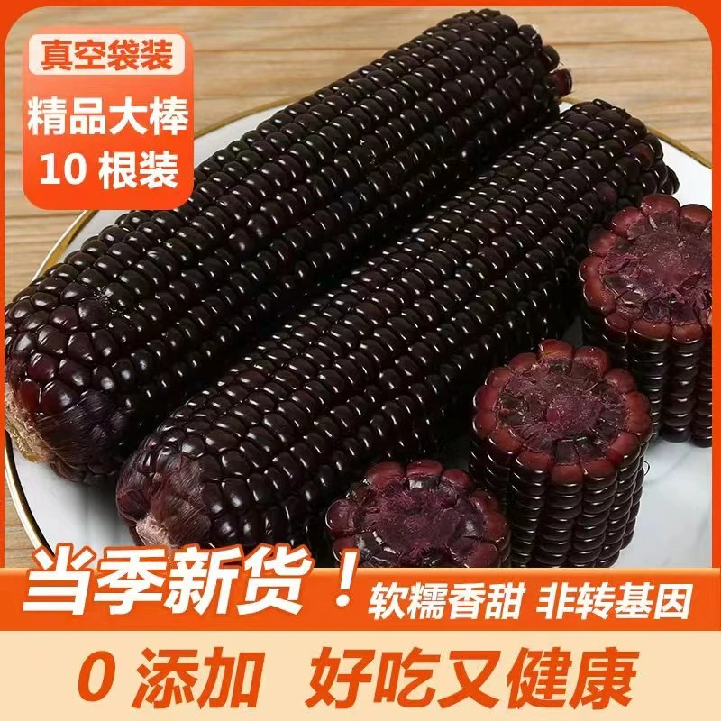 【试吃一根】东北黑糯玉米独立包装拍10送2到手12根带箱5斤