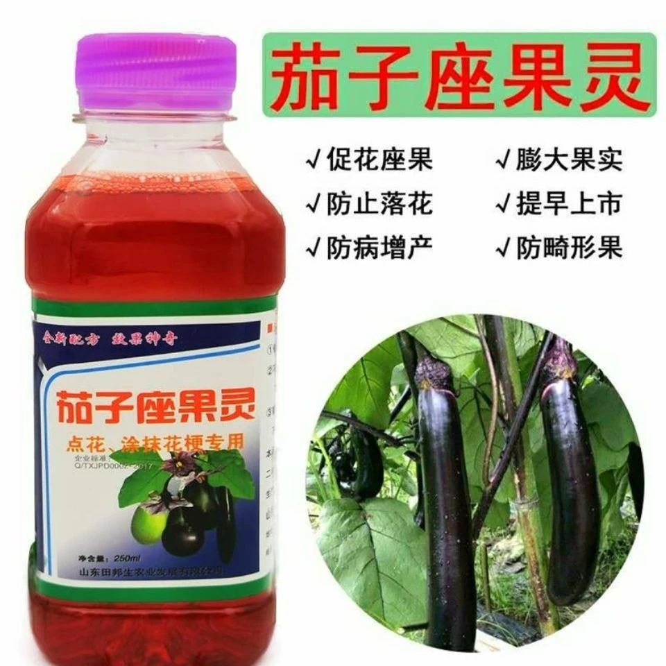 茄子座果灵 圆茄长茄罐茄 专用授粉药点花药保花保果坐果灵防落素