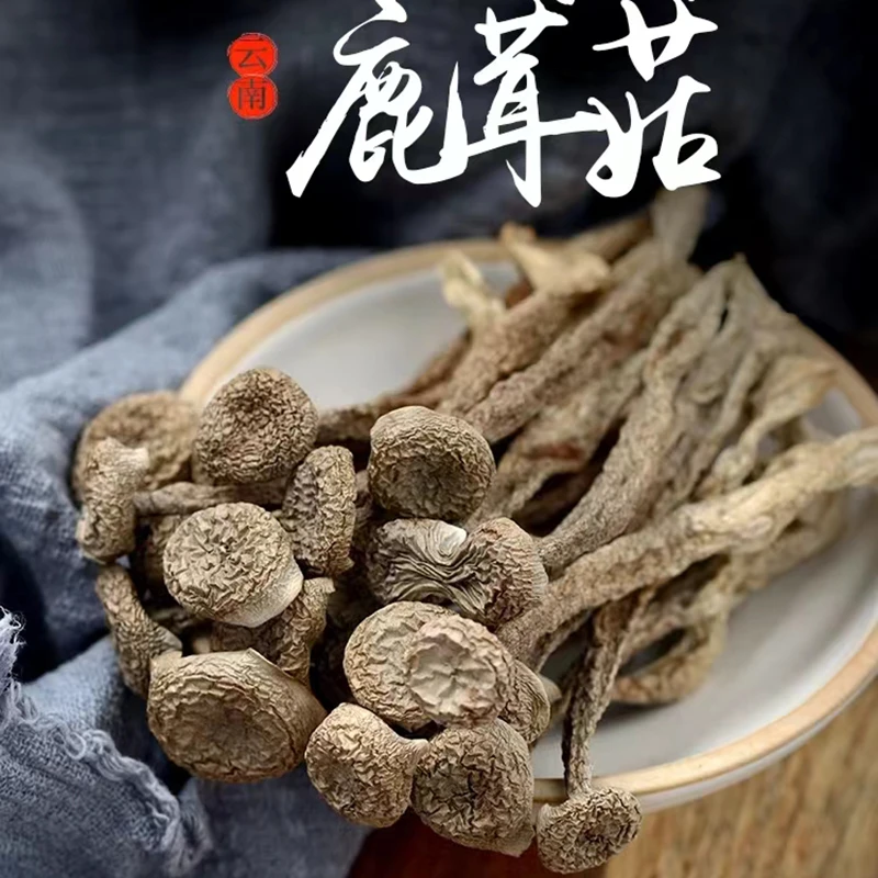 云南土特产 集市现收 鹿茸菇