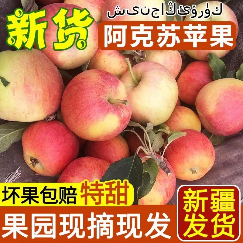 【脆甜多汁】新疆阿克苏嘎啦苹果5斤红富士糖心丑苹果新鲜水果