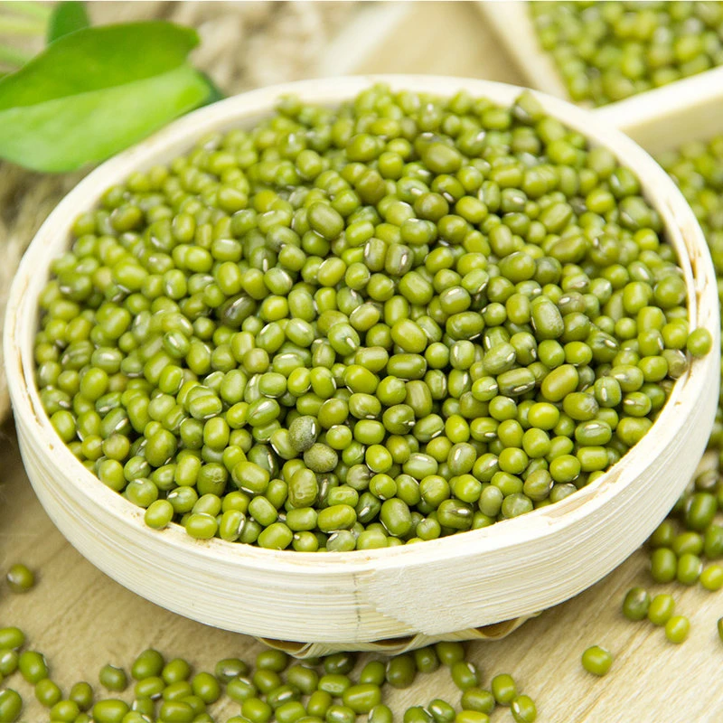 农家绿豆蔬菜山货土货农产品SC