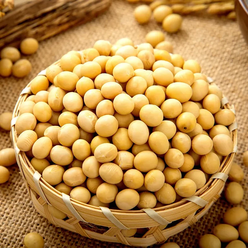 【三斤装】农村黄豆蔬菜山货土货农产品SC