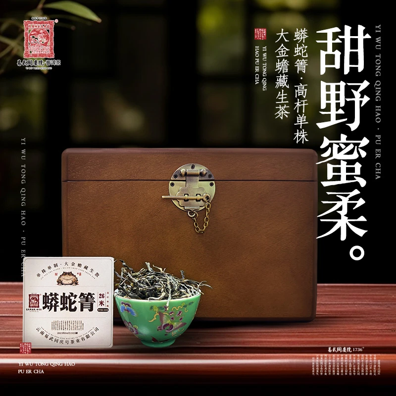 易武同庆号2023年普洱茶蟒蛇箐26米高杆单株大金蟾藏生散500g