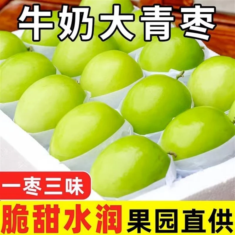 牛奶大青枣1-5斤牛奶果新鲜云南奶枣奶油青枣脆甜应季水果
