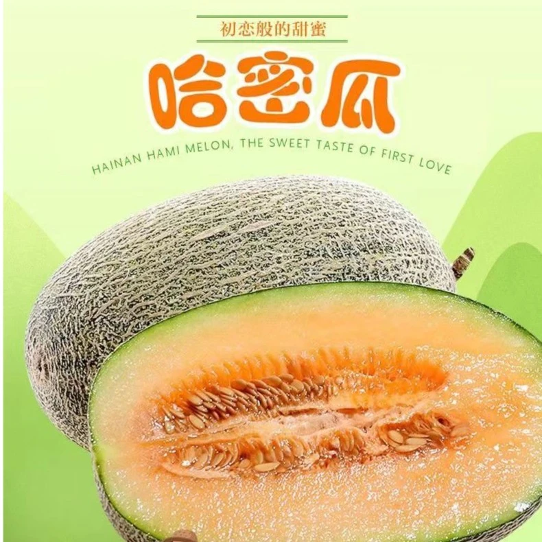 【脆甜哈密瓜】北海沙地西周密3-9斤应季水果还奶新鲜好吃爽口甜蜜