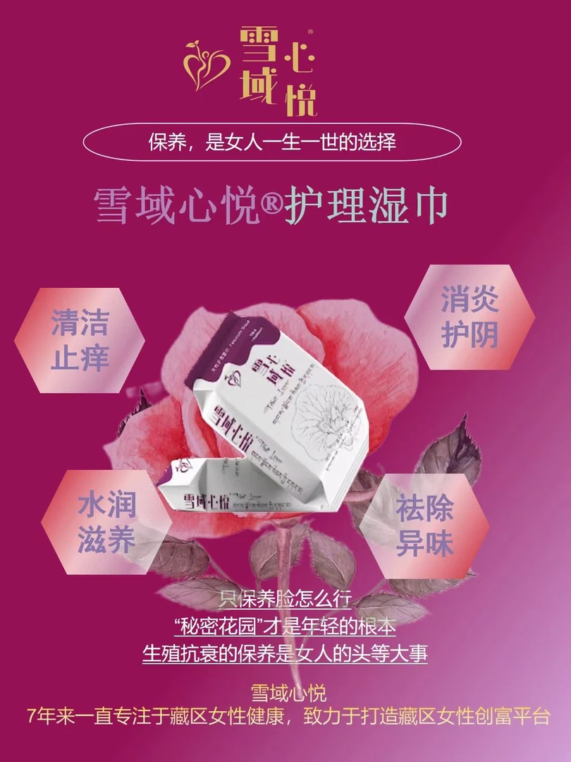雪域心悦湿巾亲肤男女性护理湿巾拍一发10包一包10片