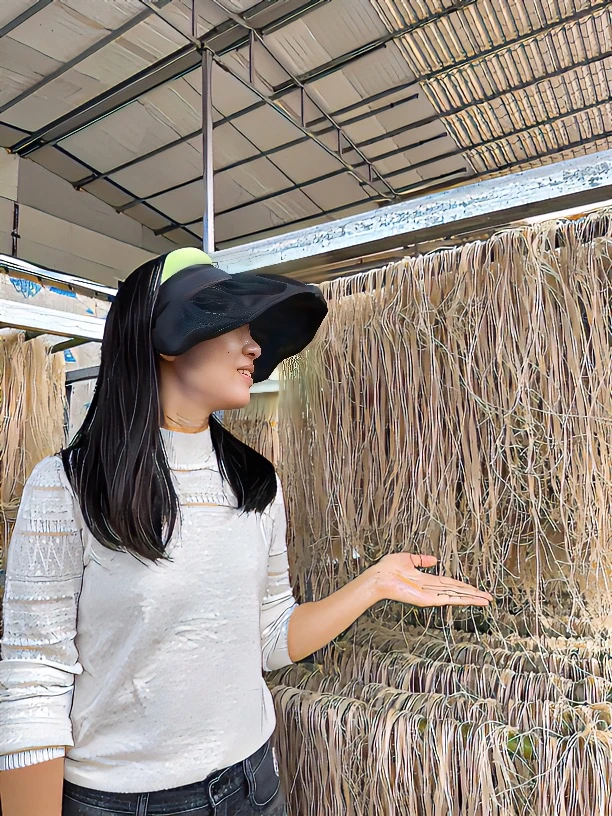 纯手工  红薯  粉条  营养健康食用