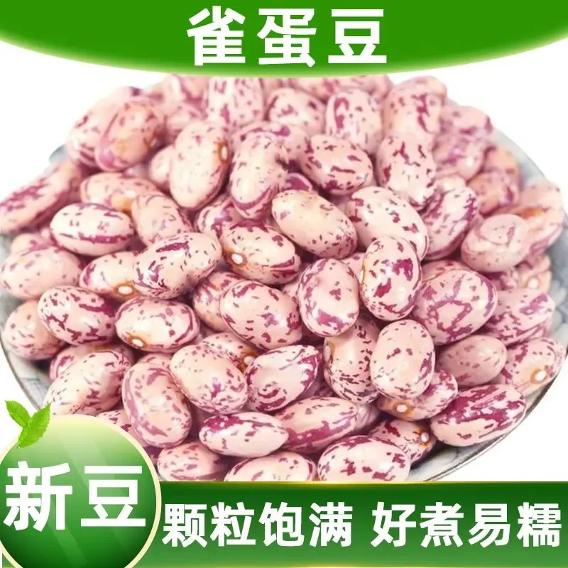 雀蛋豆当季新货奶花豆贵州特产农家自种四季豆米花豆芸豆饱满包邮