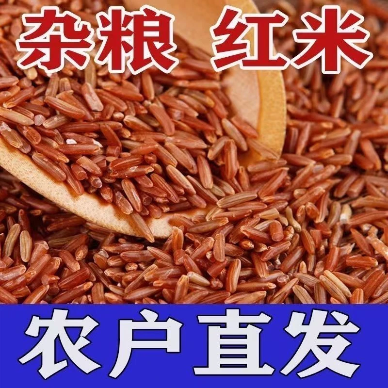 农家自产红米当季新米红糙米五谷杂粮粗粮颗粒饱满色泽自然无染色