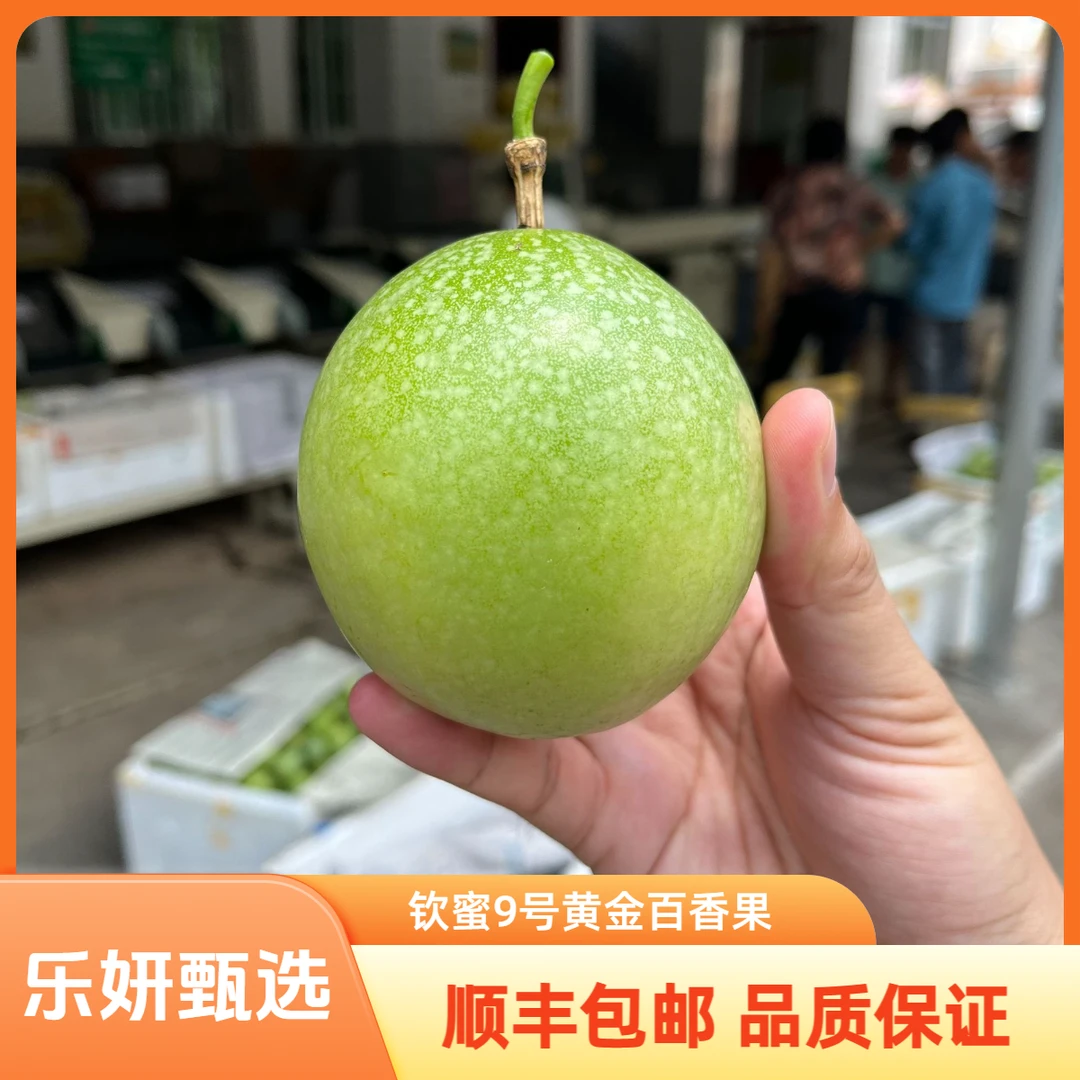 【乐妍甄选】果王级古竹钦蜜9号黄金百香果2/3/5斤新鲜水果原产地
