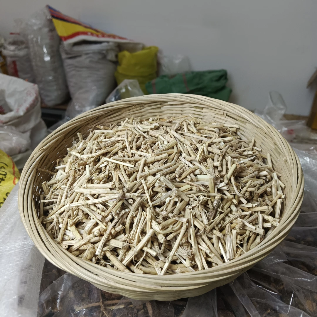 白茅根 广东采挖 丝茅根  已切段  干净