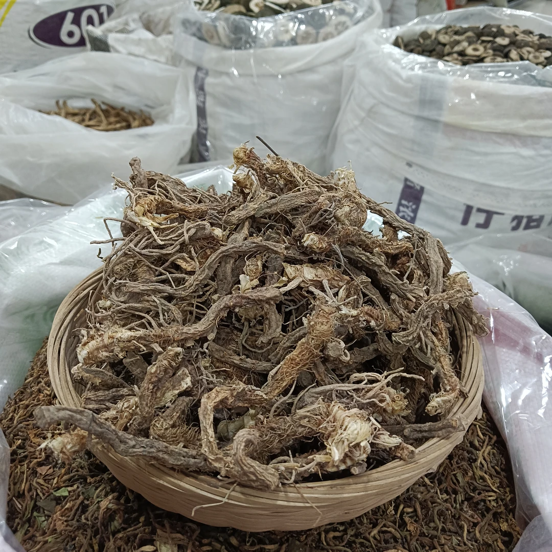 知母 甘肃野生知母 整根部