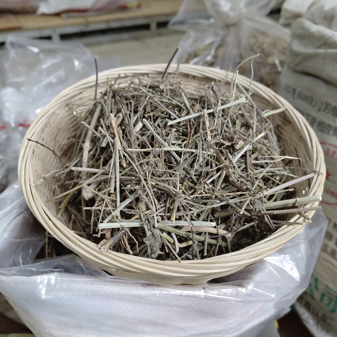 马鞭草 广东山地 自采自晒马鞭草 全草 晒干
