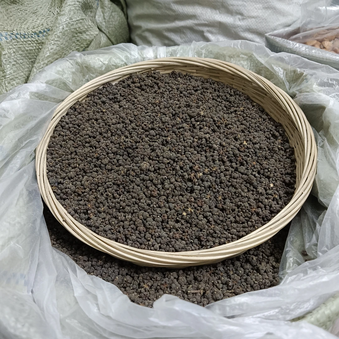 吴茱萸 贵州农户种植自然晾晒 茱萸