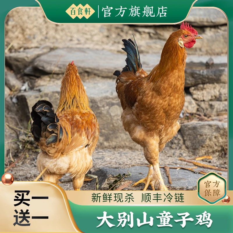 买一送一  新鲜公鸡童子鸡土鸡2只5.5斤左右 冷链顺丰