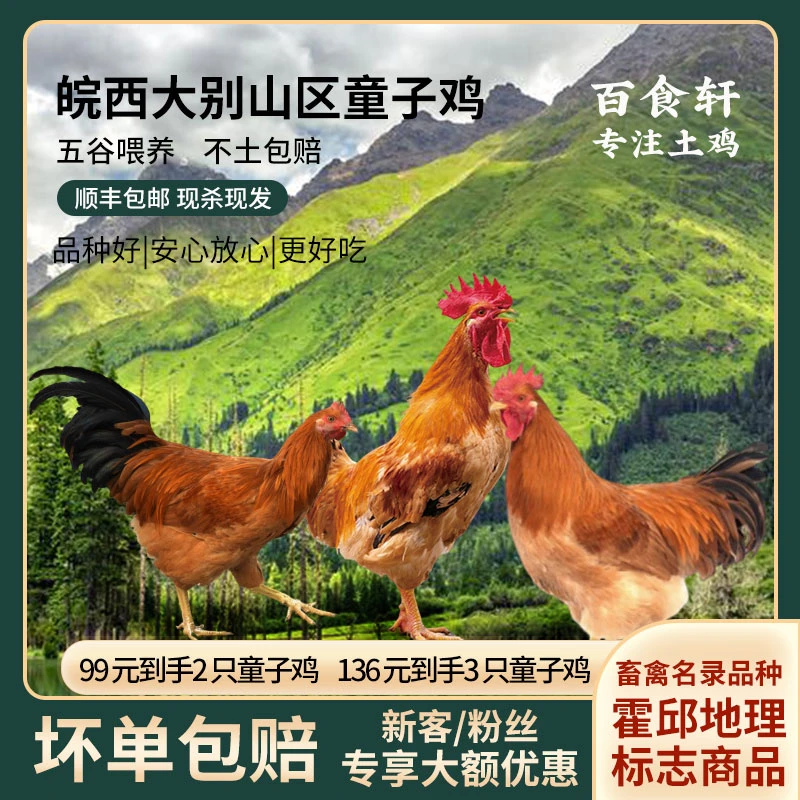 【百食轩官方正品】大别山区麻黄童子鸡散养土鸡农家净重约2斤一只