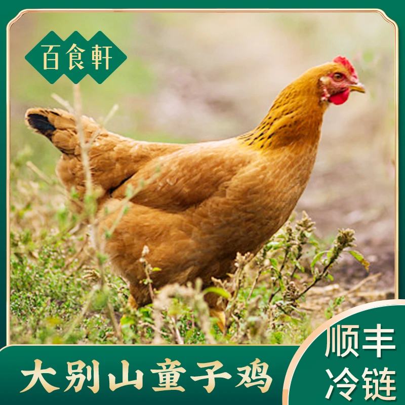 【清蒸白切烤制专用】百食轩 谷物喂养童子鸡嫩鸡2斤/只  顺丰总