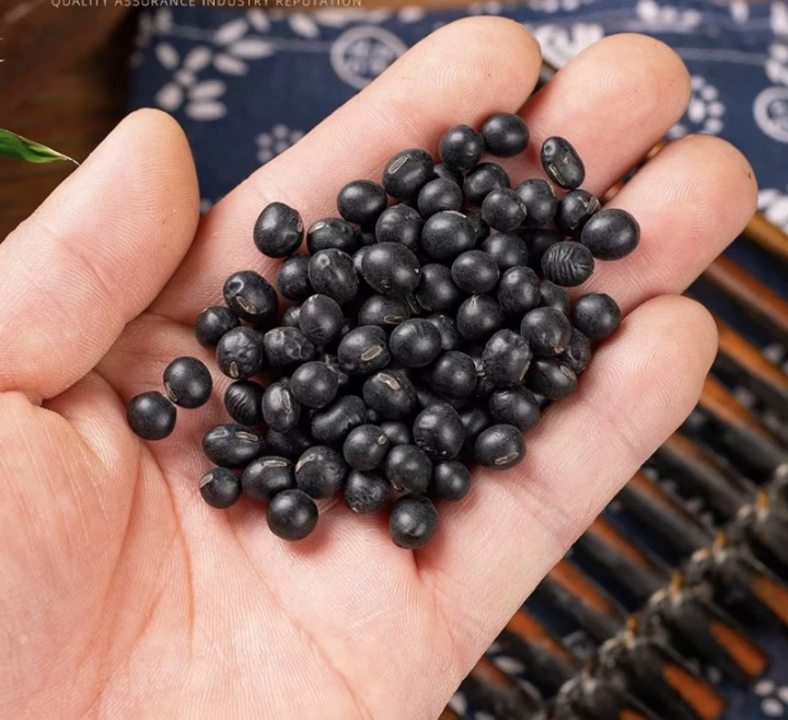 黑豆【官方品质】 五谷杂粮黑豆500g/盒