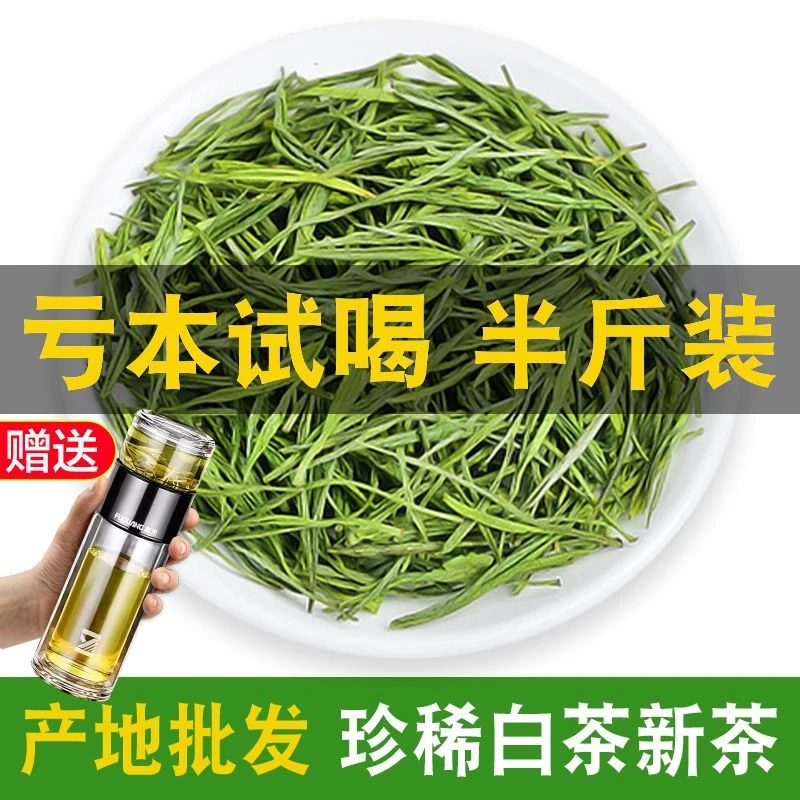 2025新茶珍稀白茶茶叶春茶雨前黄金芽高山绿茶散罐装250g