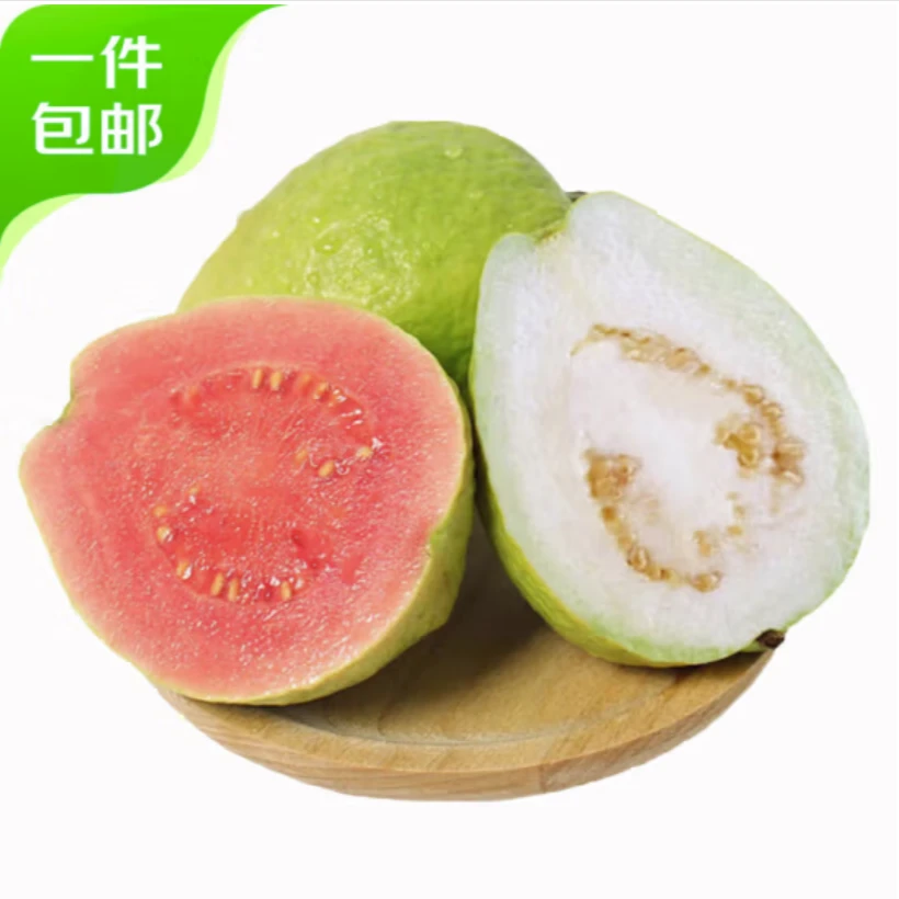 番石榴/芭乐 广西新鲜水果白心  广西北流果园直发