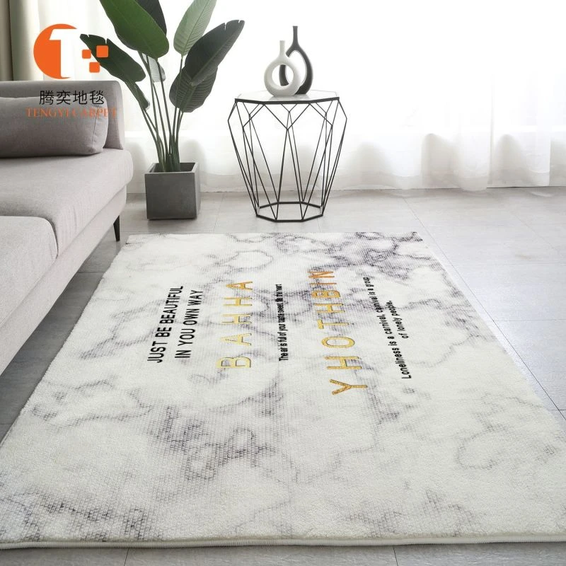 北欧风地毯现代简约家用客厅卧室床边加厚毛绒毯子大面积满铺定制