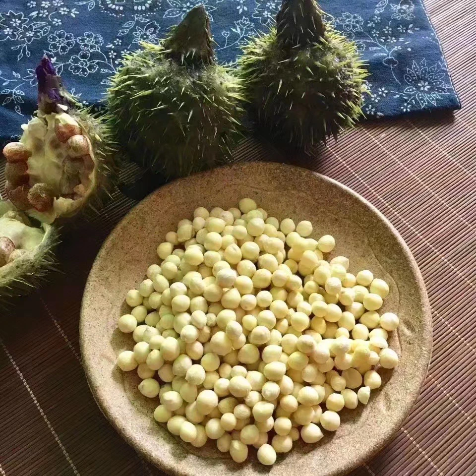 【咪姐专属】蓉昇优选鲜芡实  2斤
