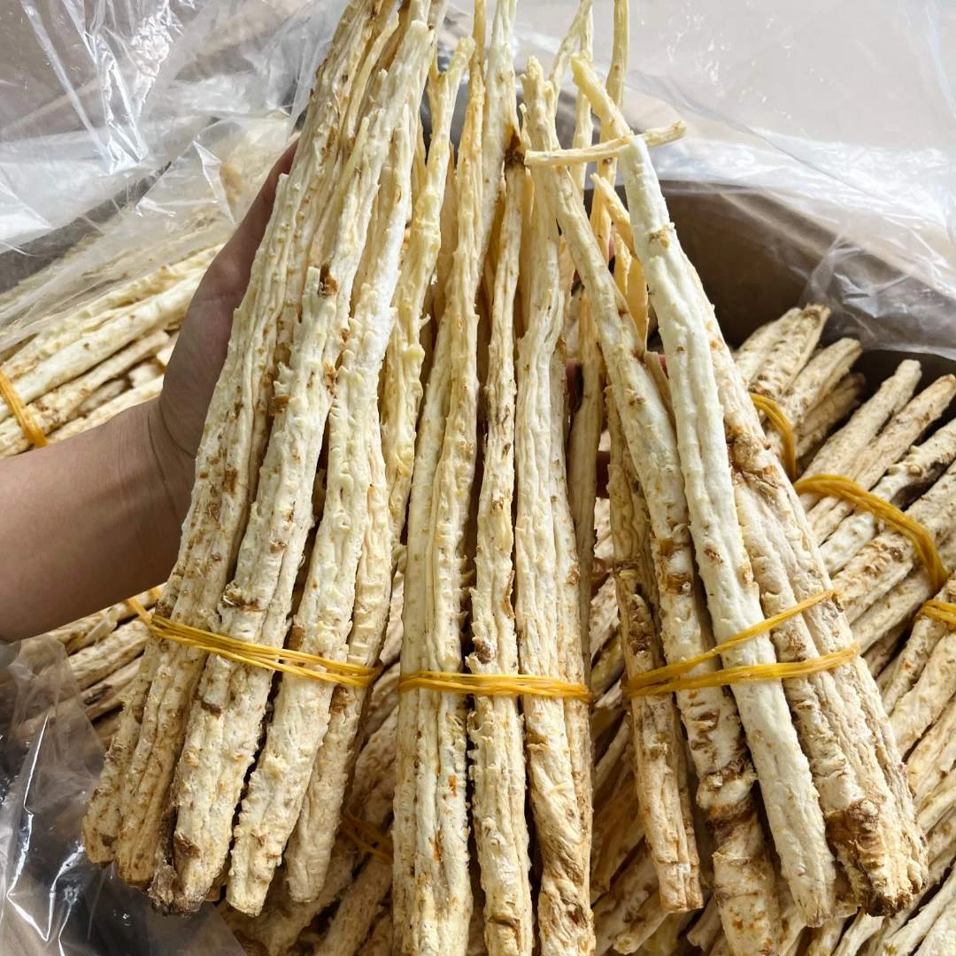 西洋参 内蒙古整根 沙参 农产品散装