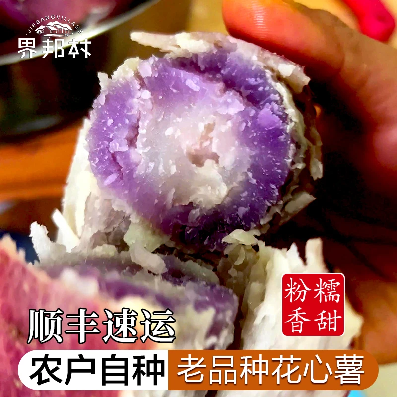 【老品种】靖西高山农家花心红薯板栗地瓜番薯3-9斤粉糯香甜