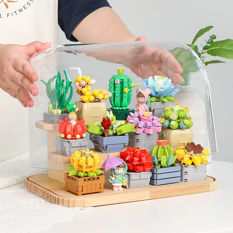 费米2.0多肉联萌治愈多肉盆栽套装带木架防尘罩拼装积木摆件