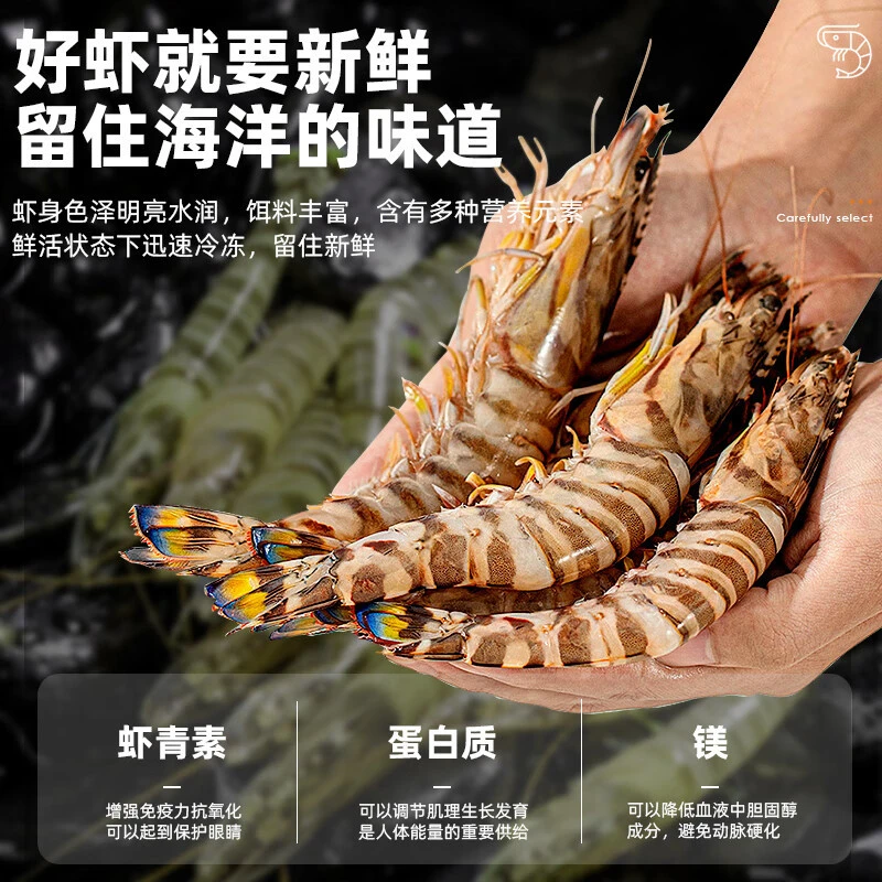 （龙辉海鲜直播专享）野生斑节虾 九节虾  鲜活小九节虾野生海捕