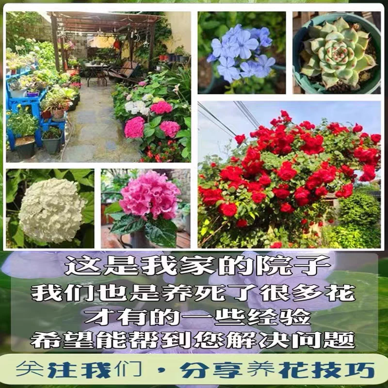 3花卉通用控释肥 非播无货151-174