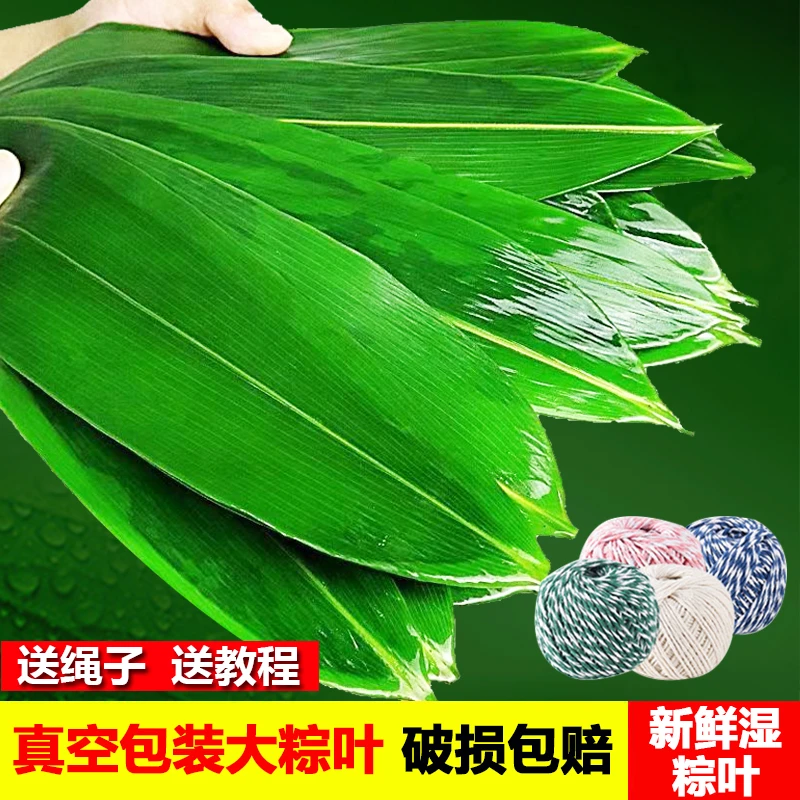 新鲜野生粽叶真空包装箬叶包粽子叶子大叶新叶50片装200g