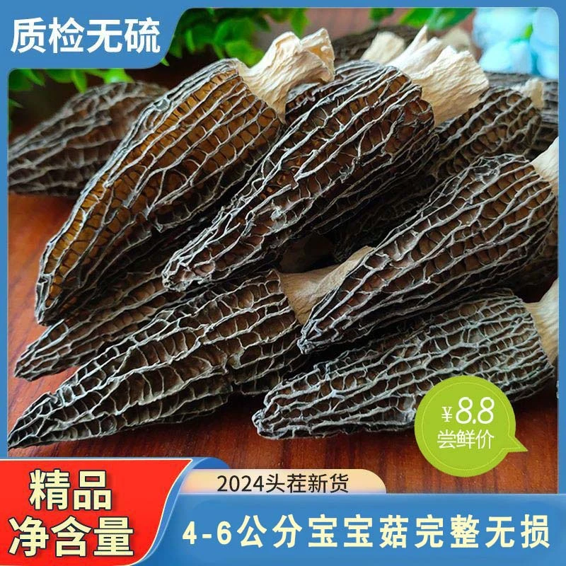 【尝鲜装】林下高山羊肚菌干货羊菌菇优质饱满肉厚鲜美炒菜煲汤菌菇