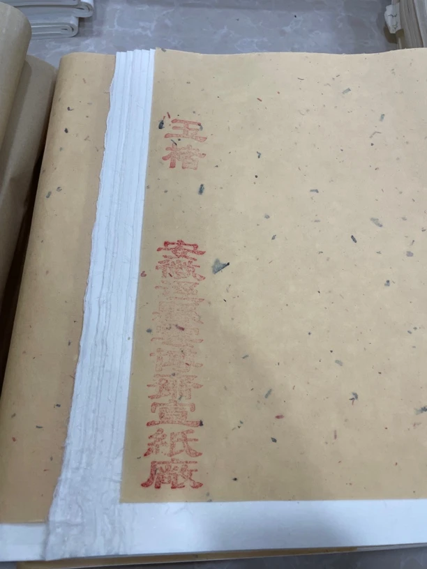 新款大高货玉楮宣