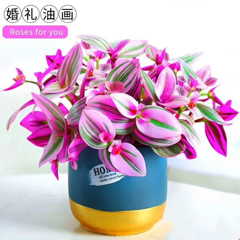 油画婚礼吊兰多肉花卉室内阳台绿植盆栽水培绿植盆栽室内