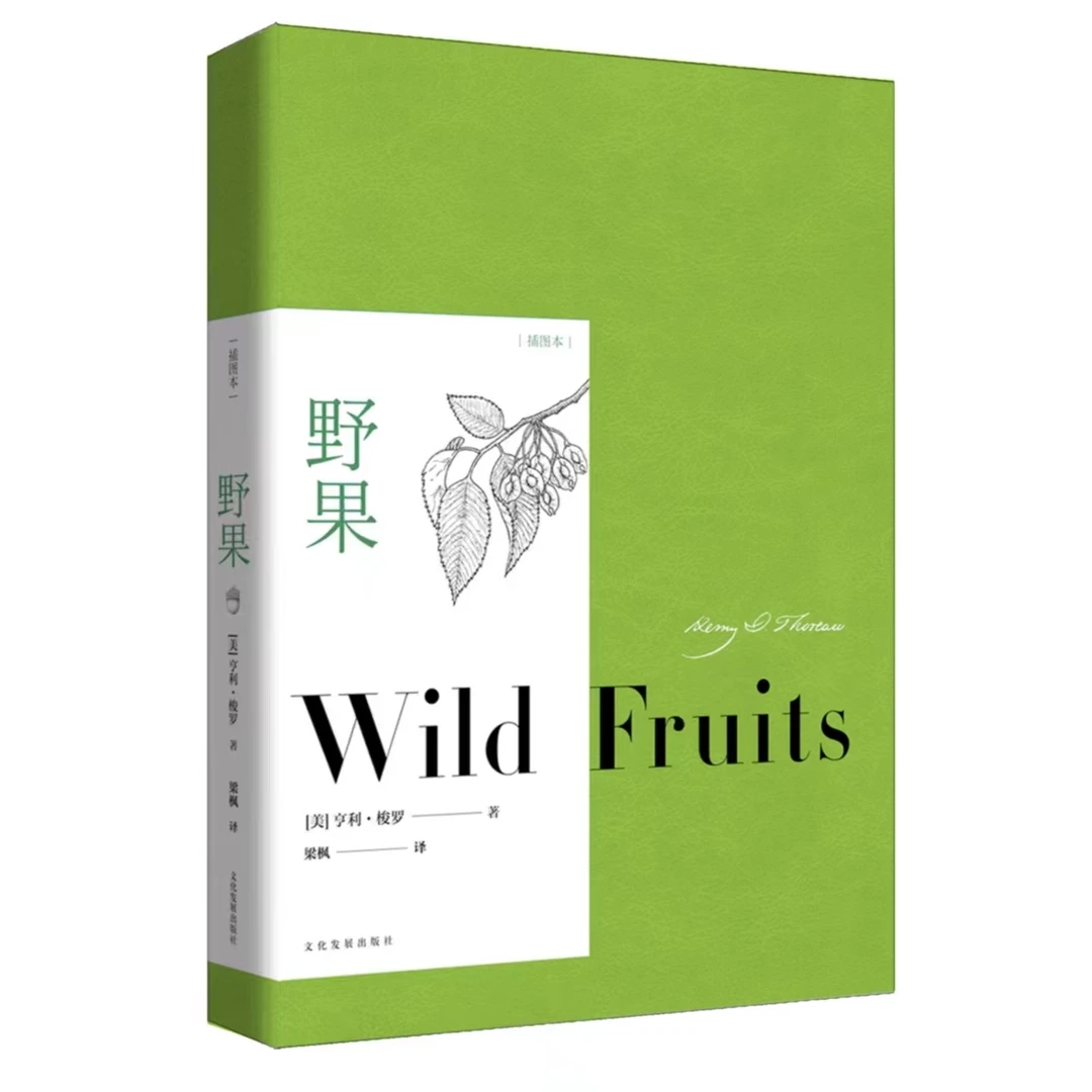 瑕疵版散文集《野果》有塑封