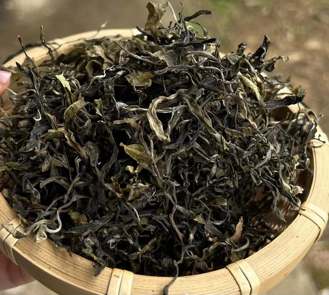 2024年 大黑树林古树 头春一类200克