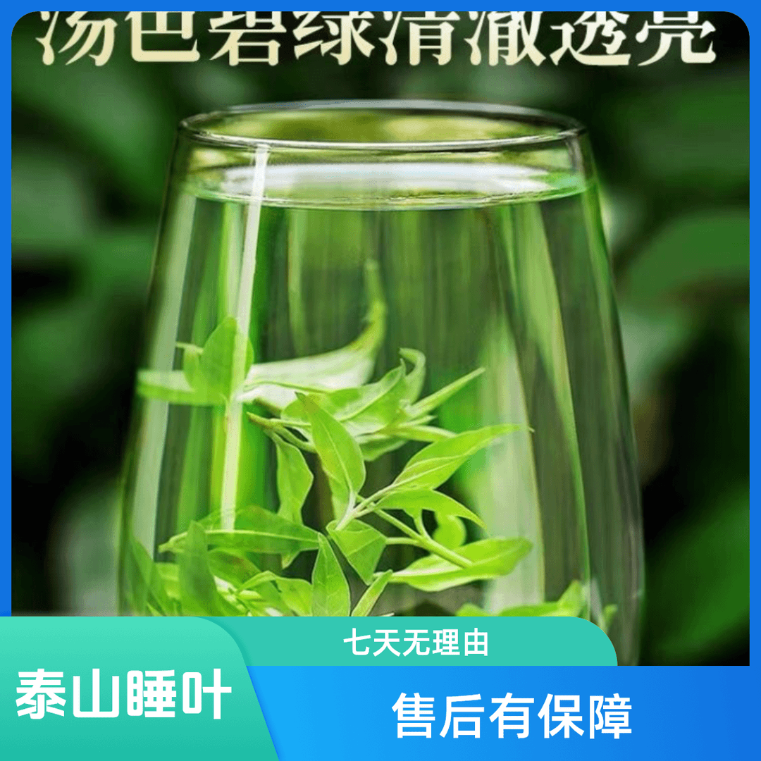 《泰山睡叶》野外高山酸枣叶酸枣芽茶手工炒制甘甜2024春季好茶