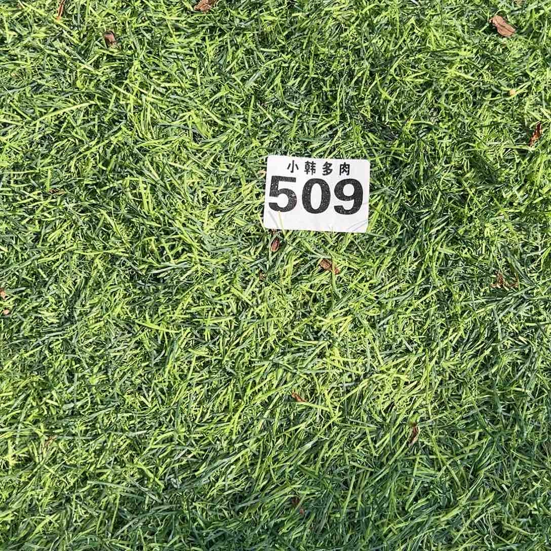 509水墨画捧花一颗
