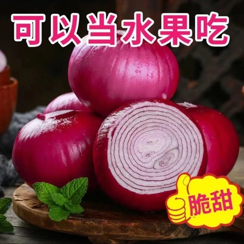 红皮洋葱种子 种籽种植苗特大圆香味浓葱耐寒紫皮 秋季葱种孑蔬菜