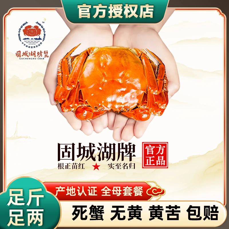 【活蟹】固城湖大闸蟹全母蟹3.0-3.2两 6只起装鲜活螃蟹中秋蟹礼