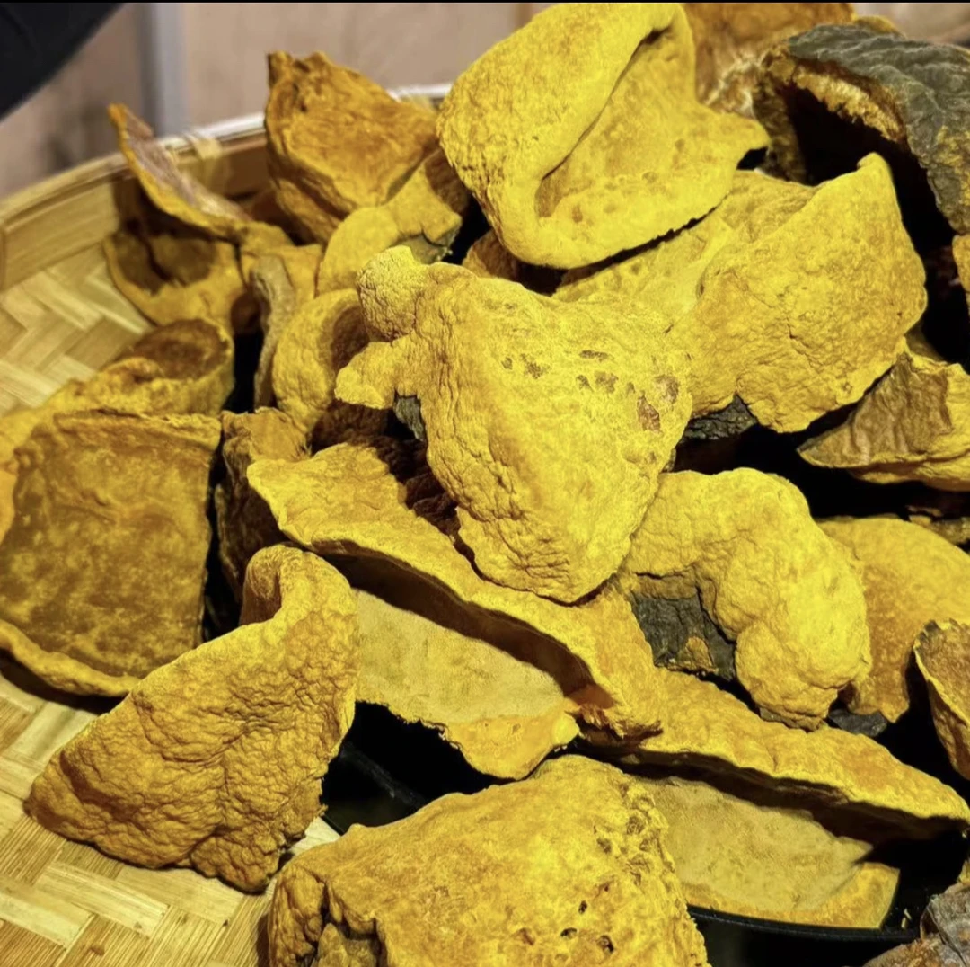 缅山土特产  正宗-金边桑黄100克/250克/500克/ 煲汤 泡酒 食用