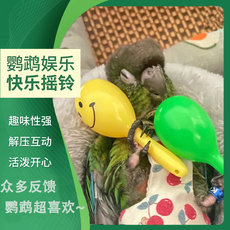 小金太鸟玩具牡丹玄凤鹦鹉脚下啃咬益智互动训练沙锤虎皮自嗨解闷
