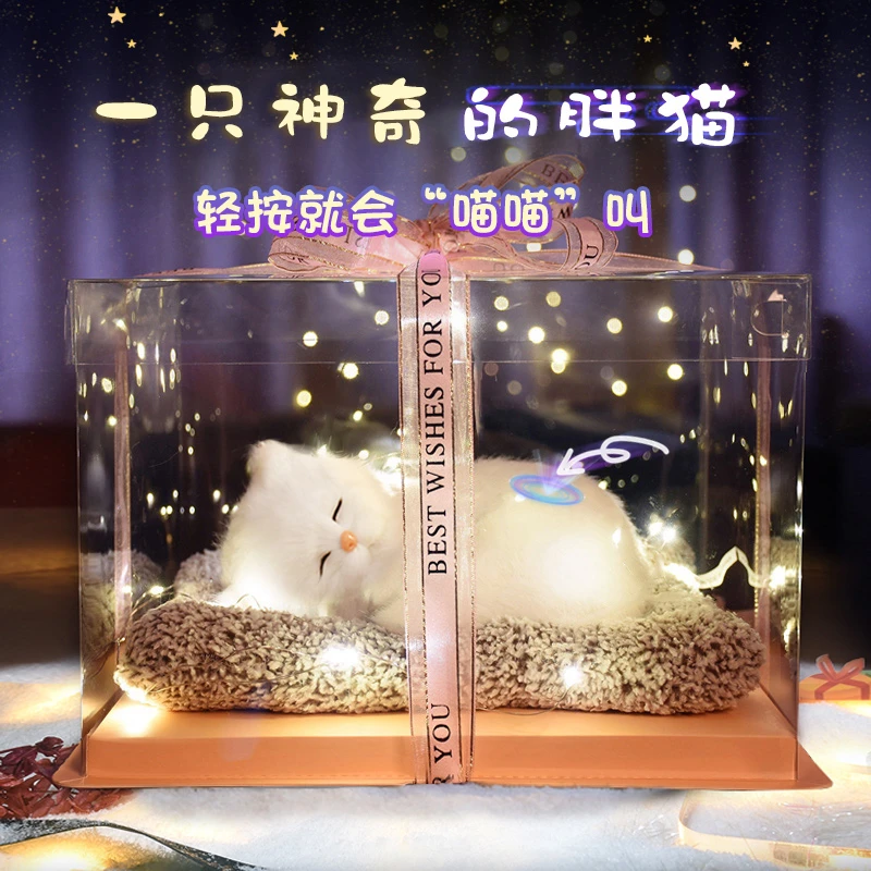 生日礼物圣诞节礼品仿真猫礼盒儿童送女孩子小礼品实用女朋友新年