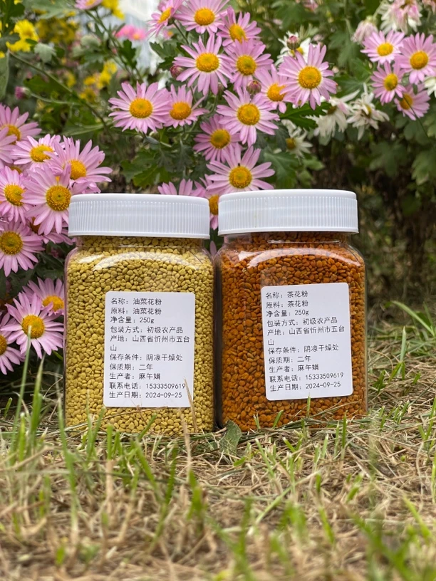 天然新鲜茶花粉油菜花粉自然晒干颗粒饱满没有杂质