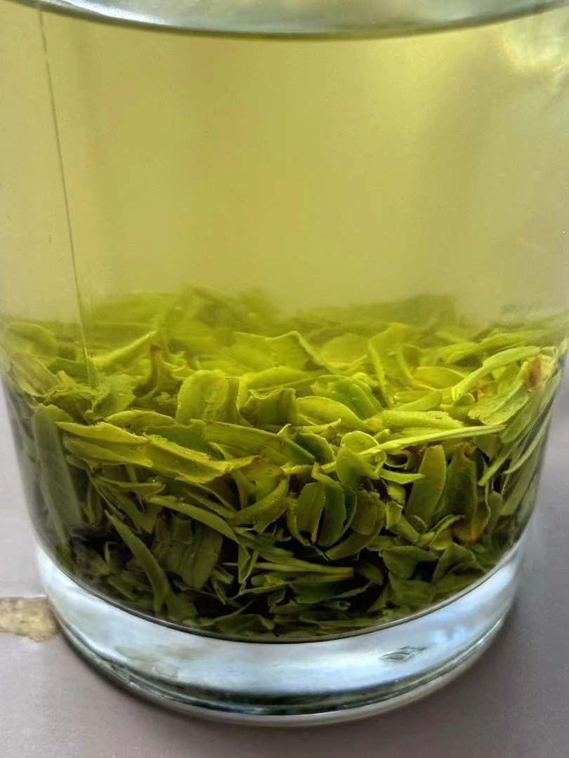 【四望山】2024信阳毛尖明前片片茶. 鲜嫩春茶