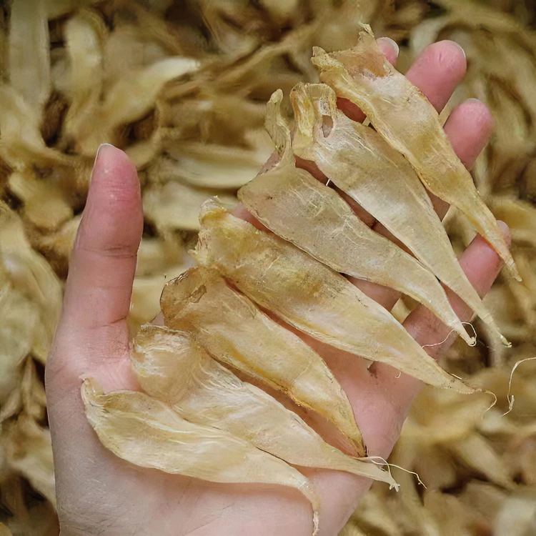 豆仁胶海鲜干货深海花胶炖汤花胶奶冻250克500克
