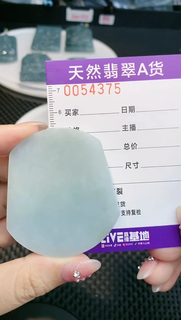 【闪购商品】翡翠颈饰未镶嵌       68