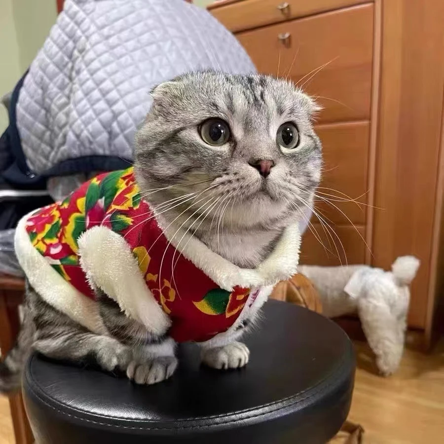 宠物猫狗衣服冬季东北大花棉衣泰迪柯基小猫蓝猫秋冬天马甲民族风